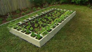 cinder-block-raised-bed-garden